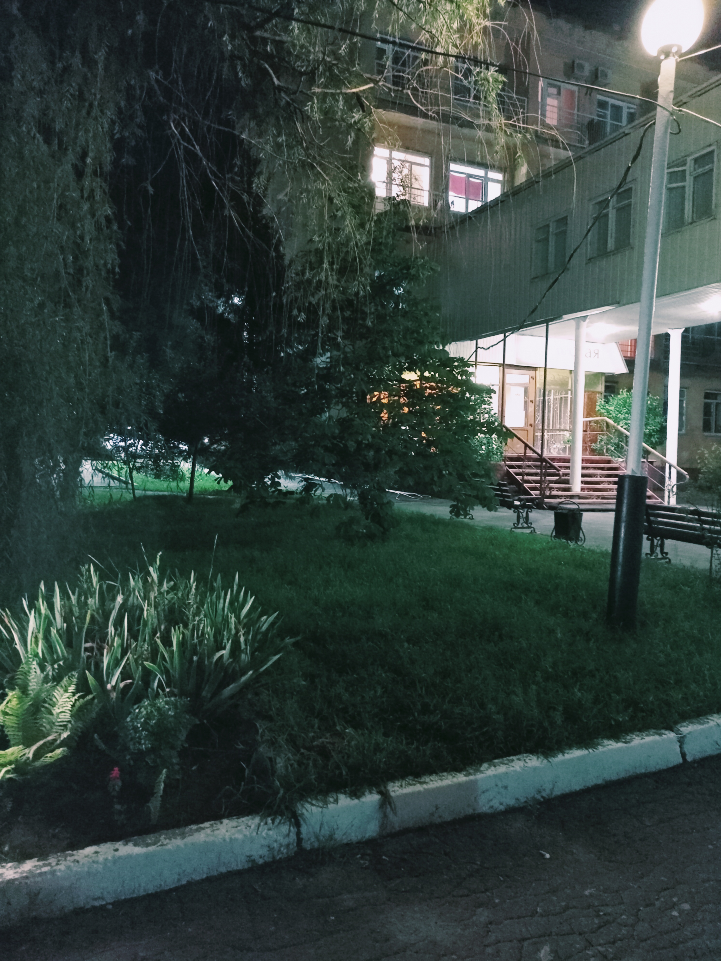 Фото Лесная жемчужина