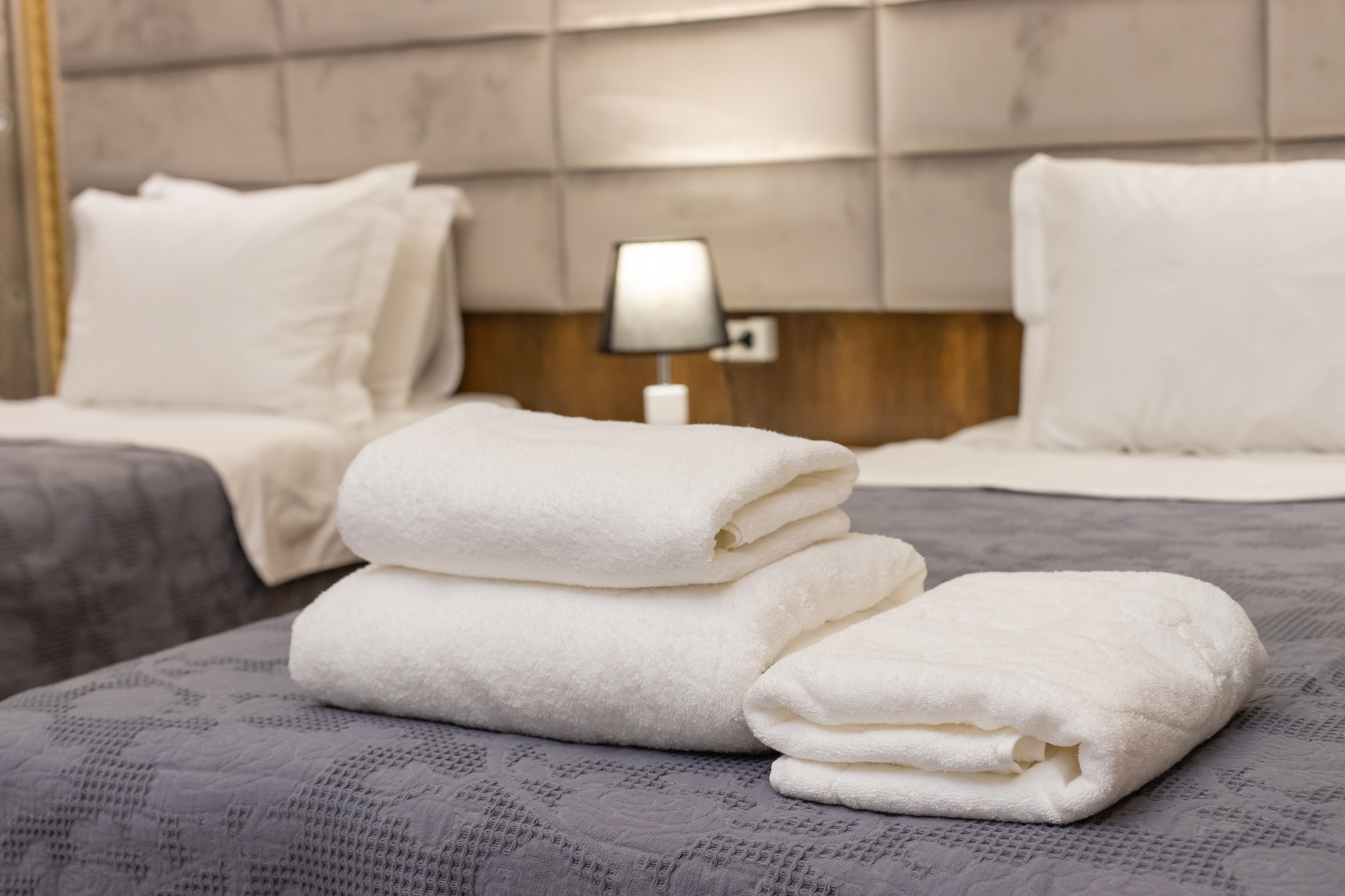 Фото Renaissance Boutique Hotel