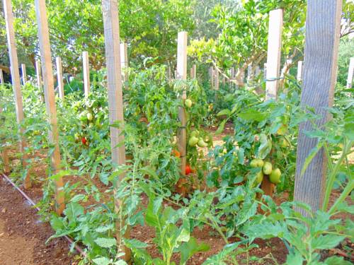 Фото Pansion Kardum