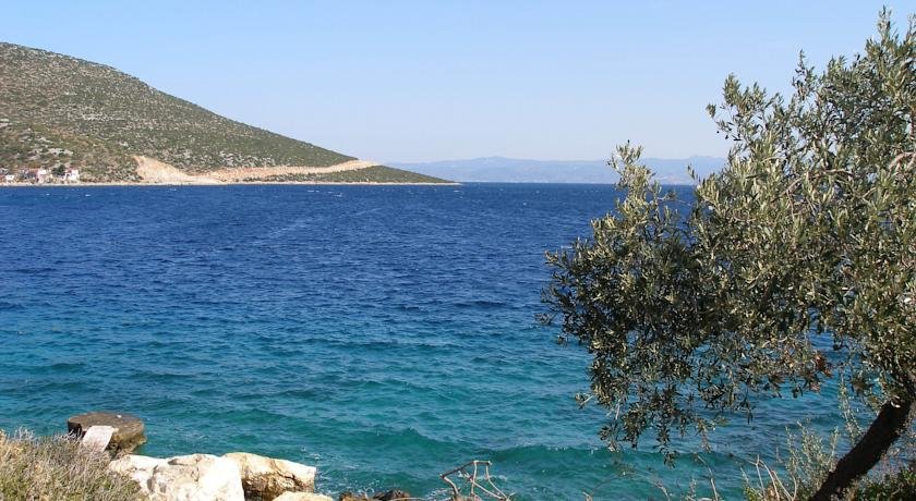 Фото 52492710215