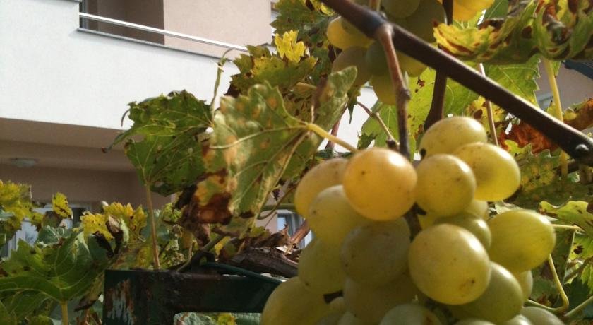 Фото Bed & Breakfast Villa Aria