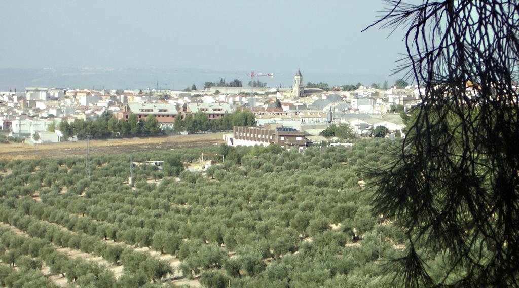 Фото Hotel La Zambra