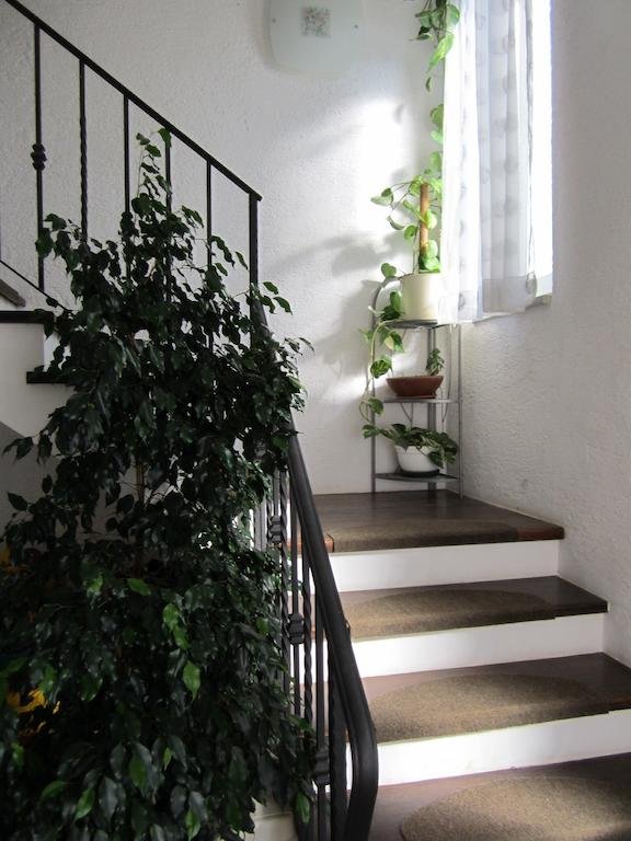 Фото Guesthouse Punta Mira