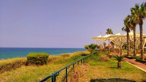 Гостиница David Tower SPA Hotel в Нетании