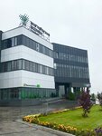 Information Technology 1C (Tolyatti, Yuzhnoye Highway, 161к2/1), software companies