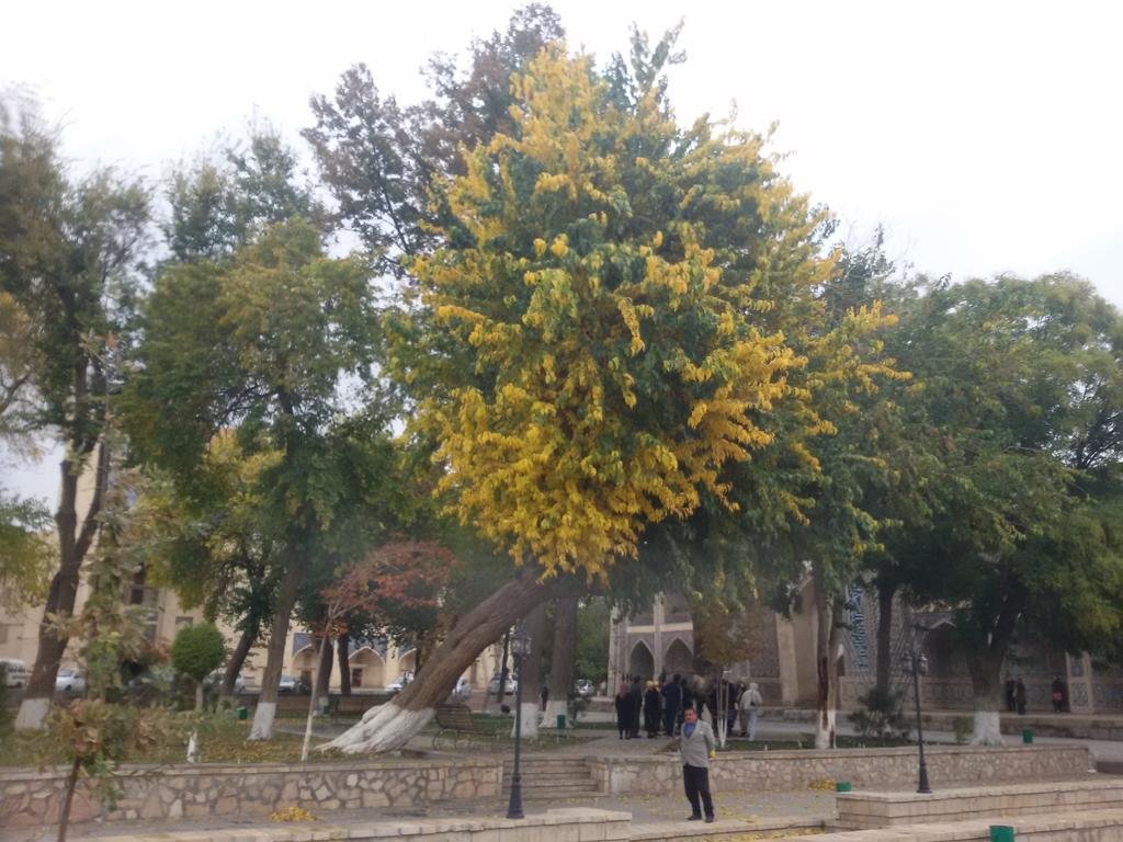 Фото Отель Порсо