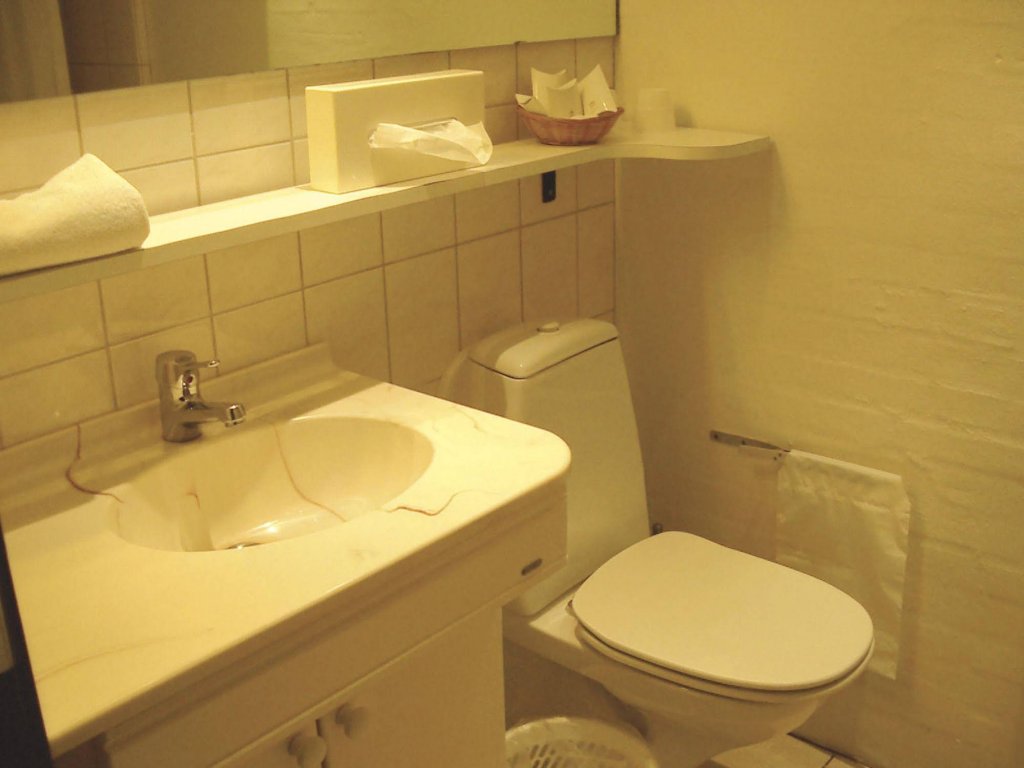 Фото Hotel Frederik D. II