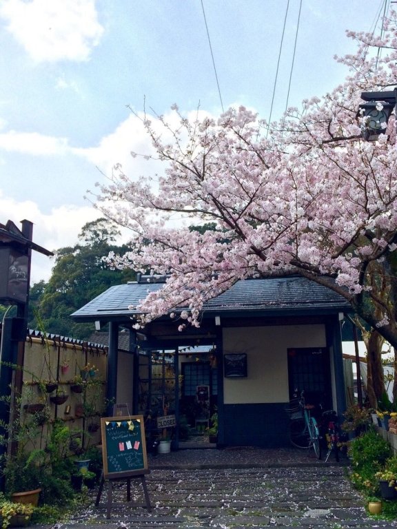 Фото Yasuragi Guest House & Bar