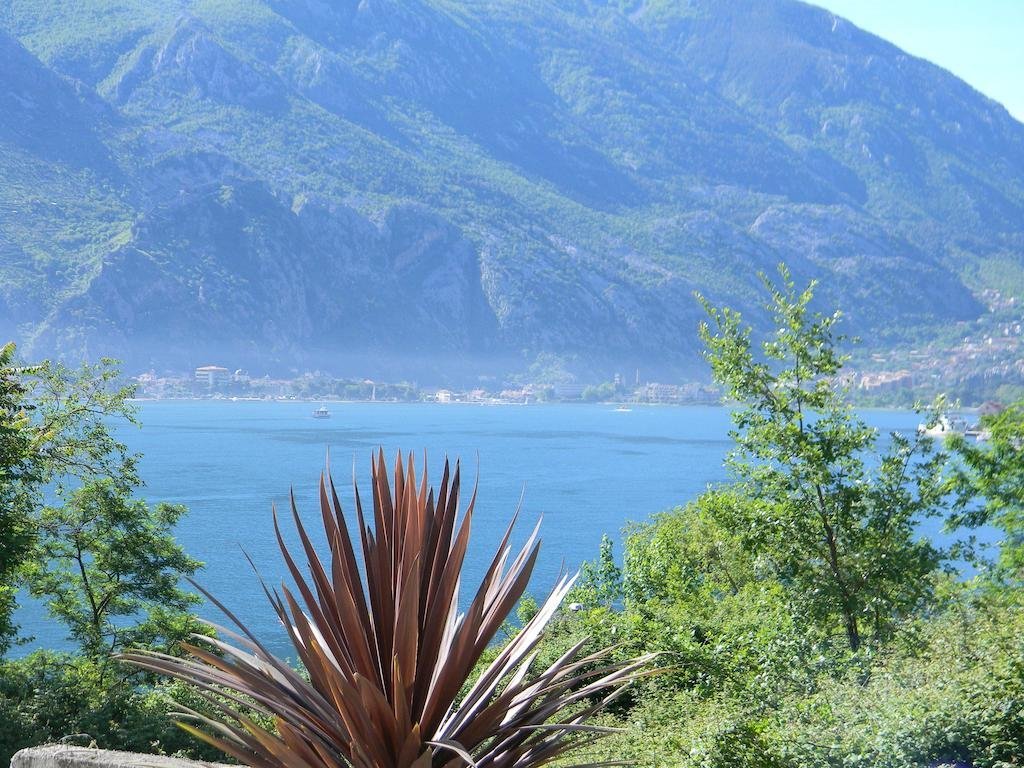 Фото Hotel Galia