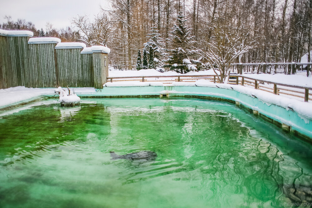 Zoo Tallinn Zoo, Tallinn, photo