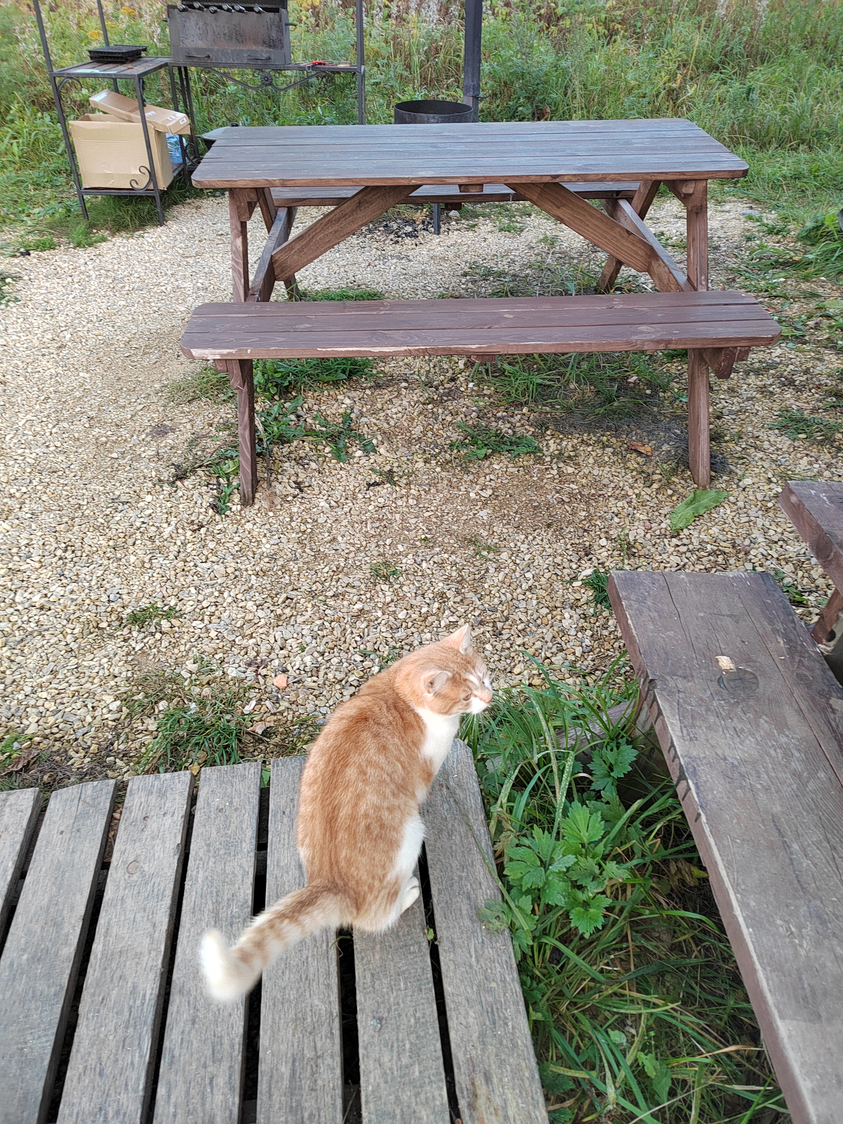 Фото Тундра Хаус Степаново