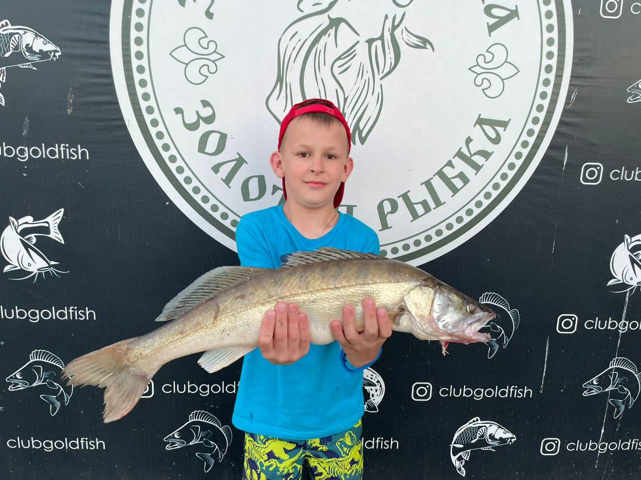 Фото Золотая рыбка