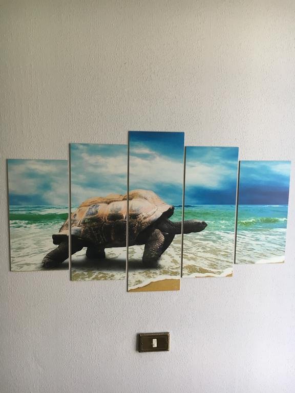 Фото Hotel Acqua Marina