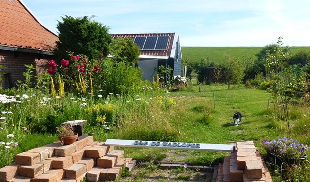 Фото De Wadloper