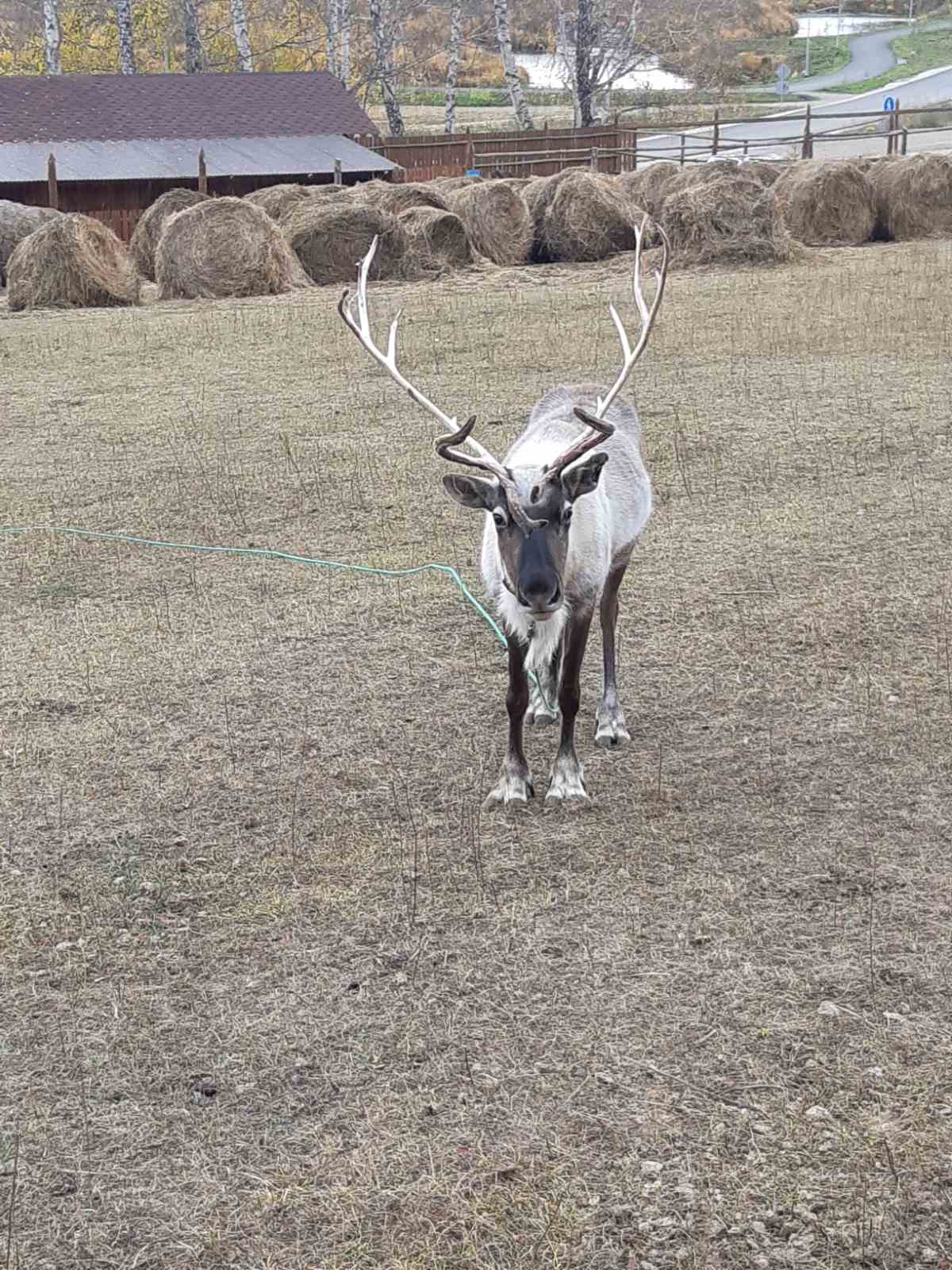 Фото Sunny Valley