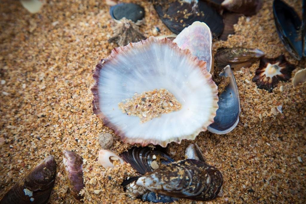 Фото Intle Game Lodge