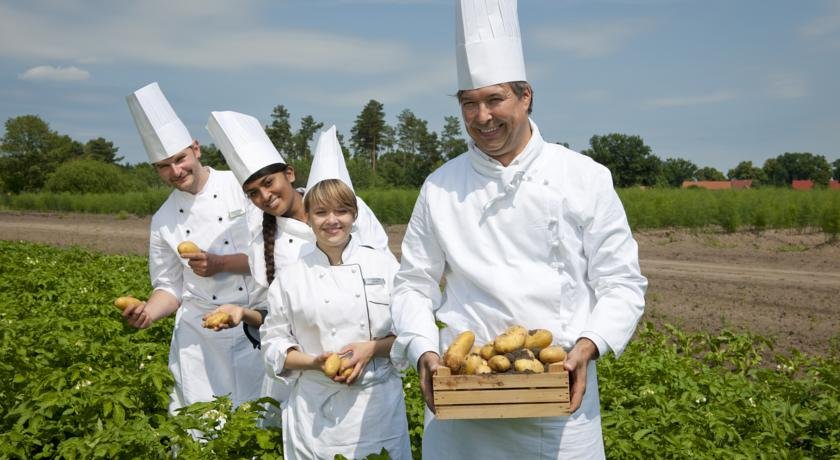 Фото Dorint Sanssouci Berlin/Potsdam