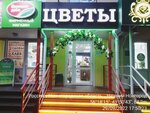 Цветы и подарки (Kamchatskiy Lane, 7), flower shop