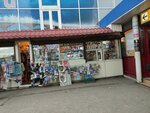 Игрушки, сувениры (Moskovskaya ulitsa, 170), toys and games