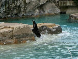 Гостиница Hampton Inn Columbia-Downtown Historic District