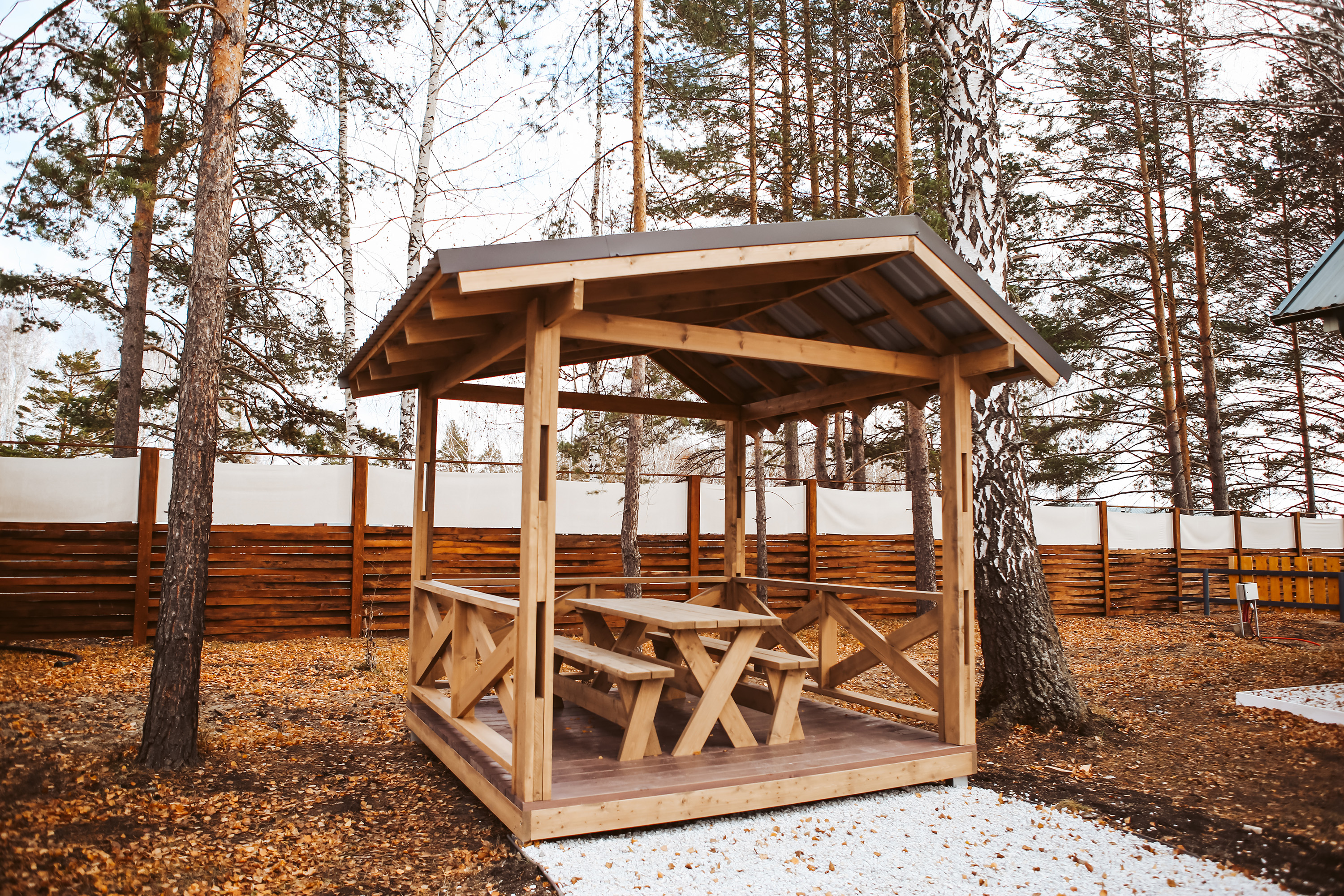 Фото Задубравье