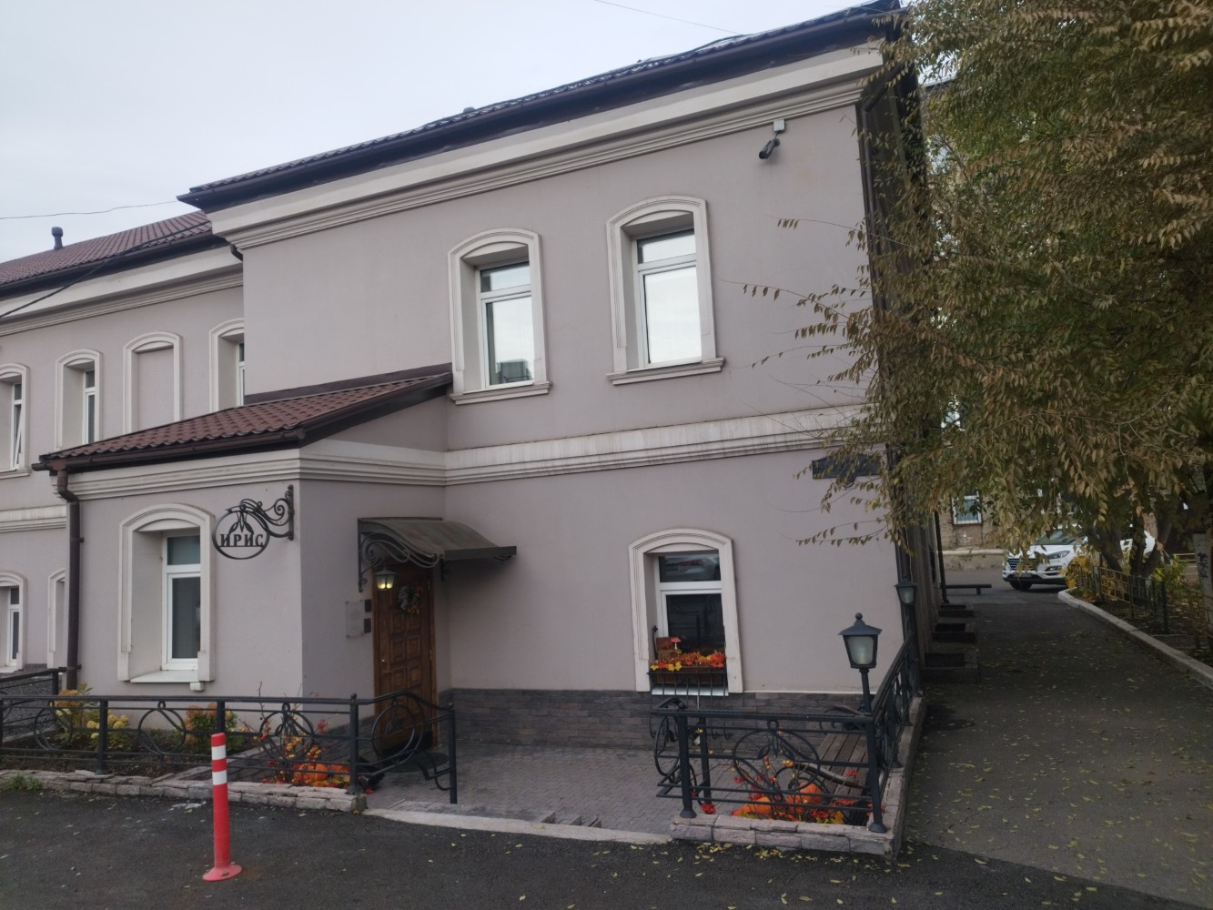 Фото Ирис