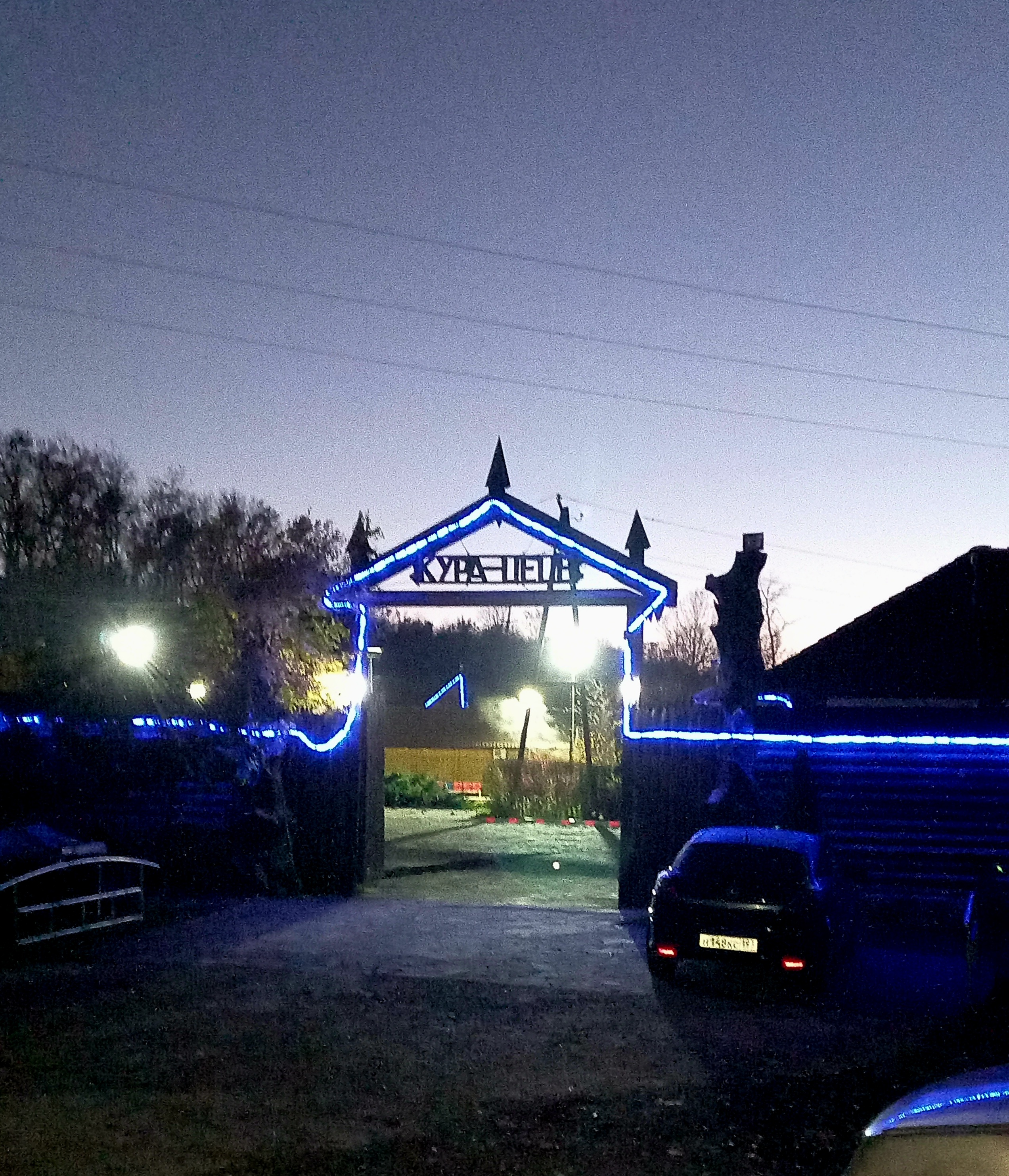 Фото Кура-цеце