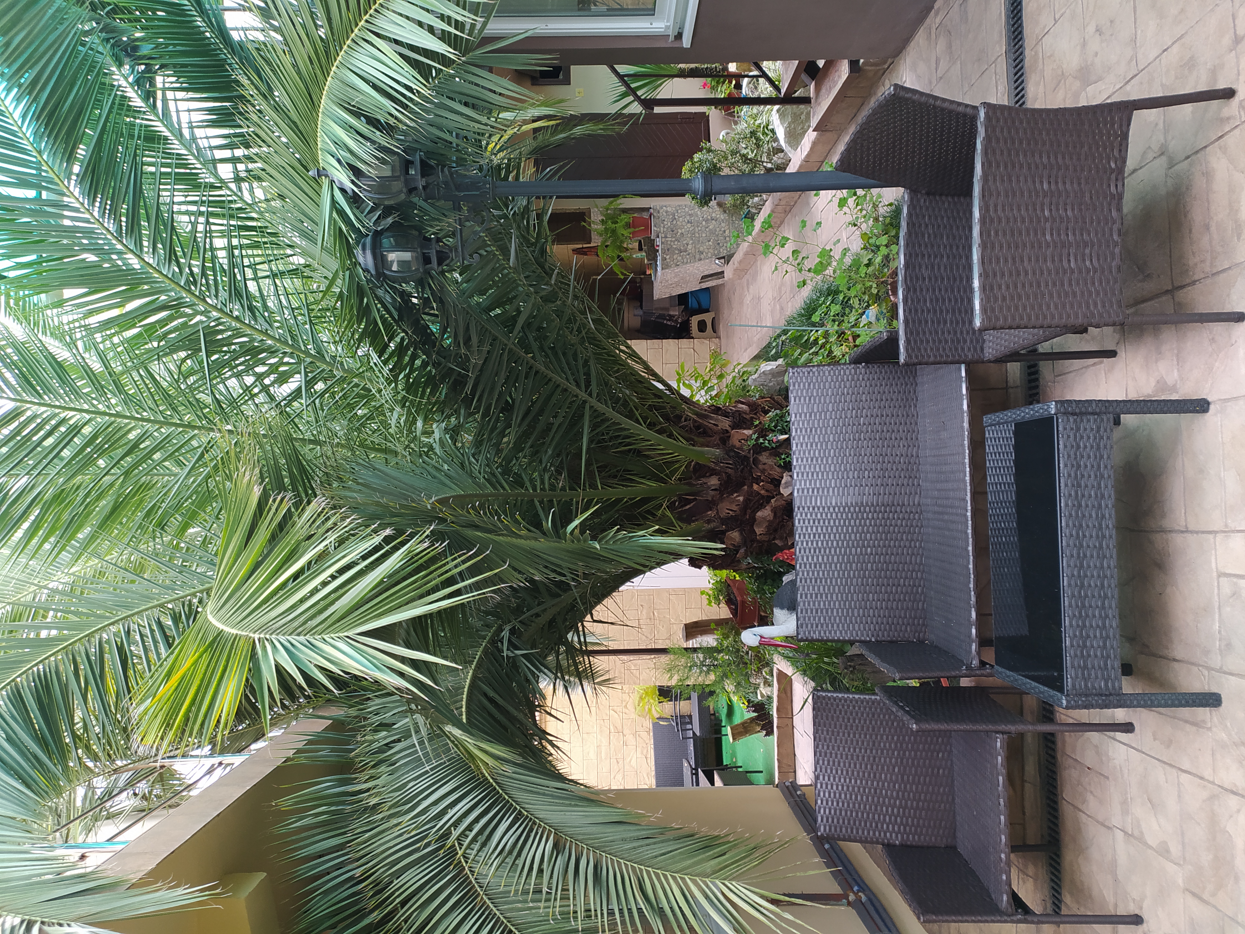 Фото АнжеликА