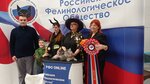 Российское фелинологическое общество (Рыбацкий просп., 18, корп. 2), зооцентр, клуб любителей животных в Санкт‑Петербурге