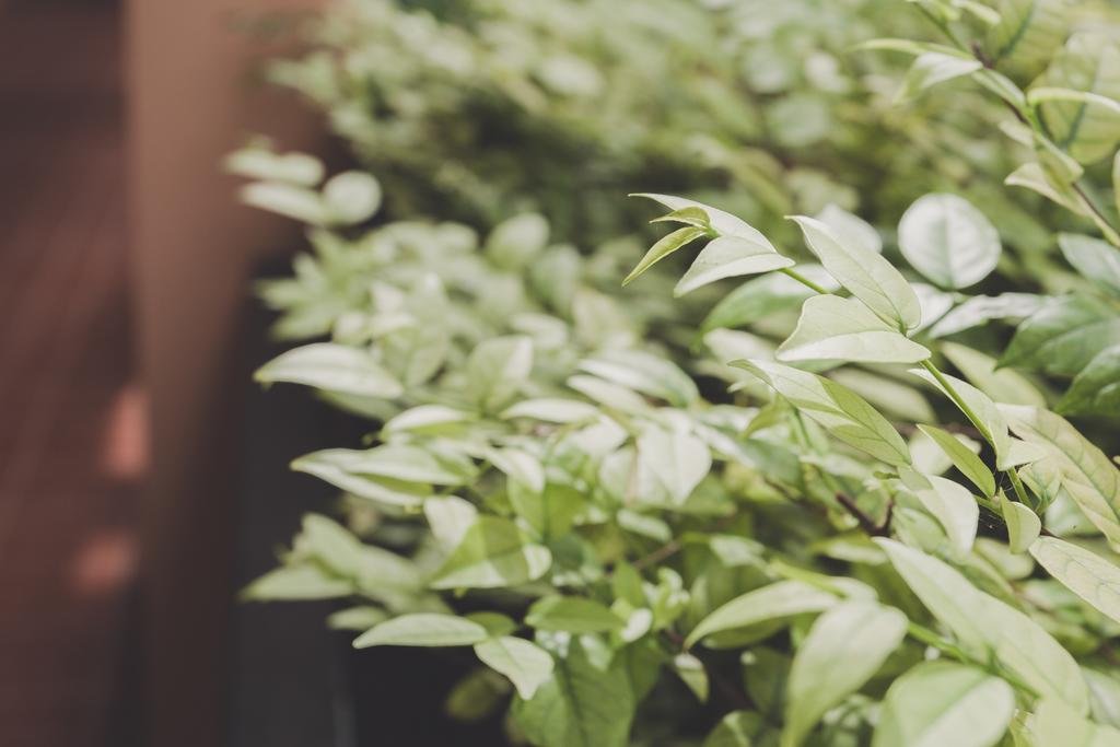 Фото Paan Puan Place