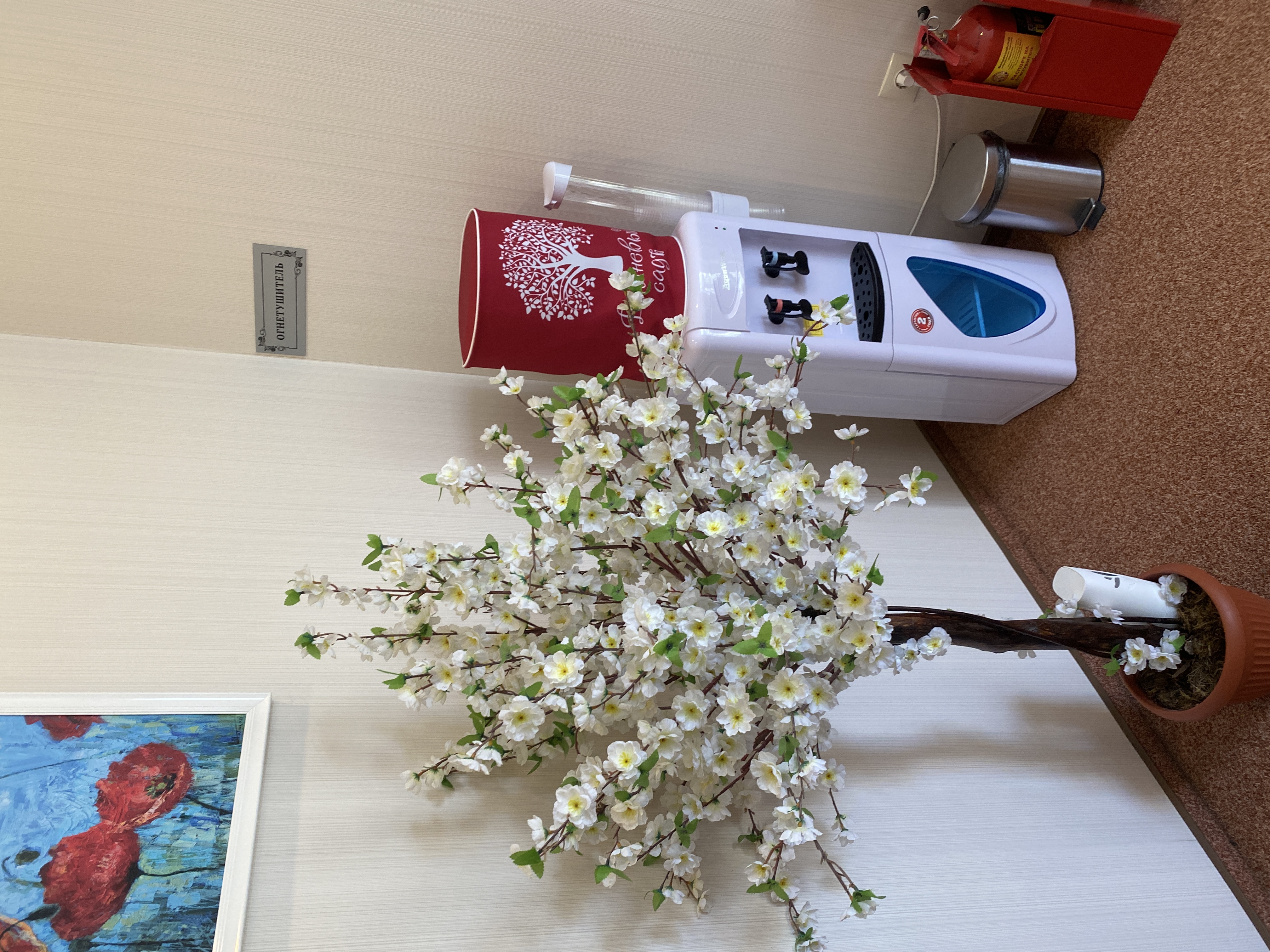 Фото Вишневый сад