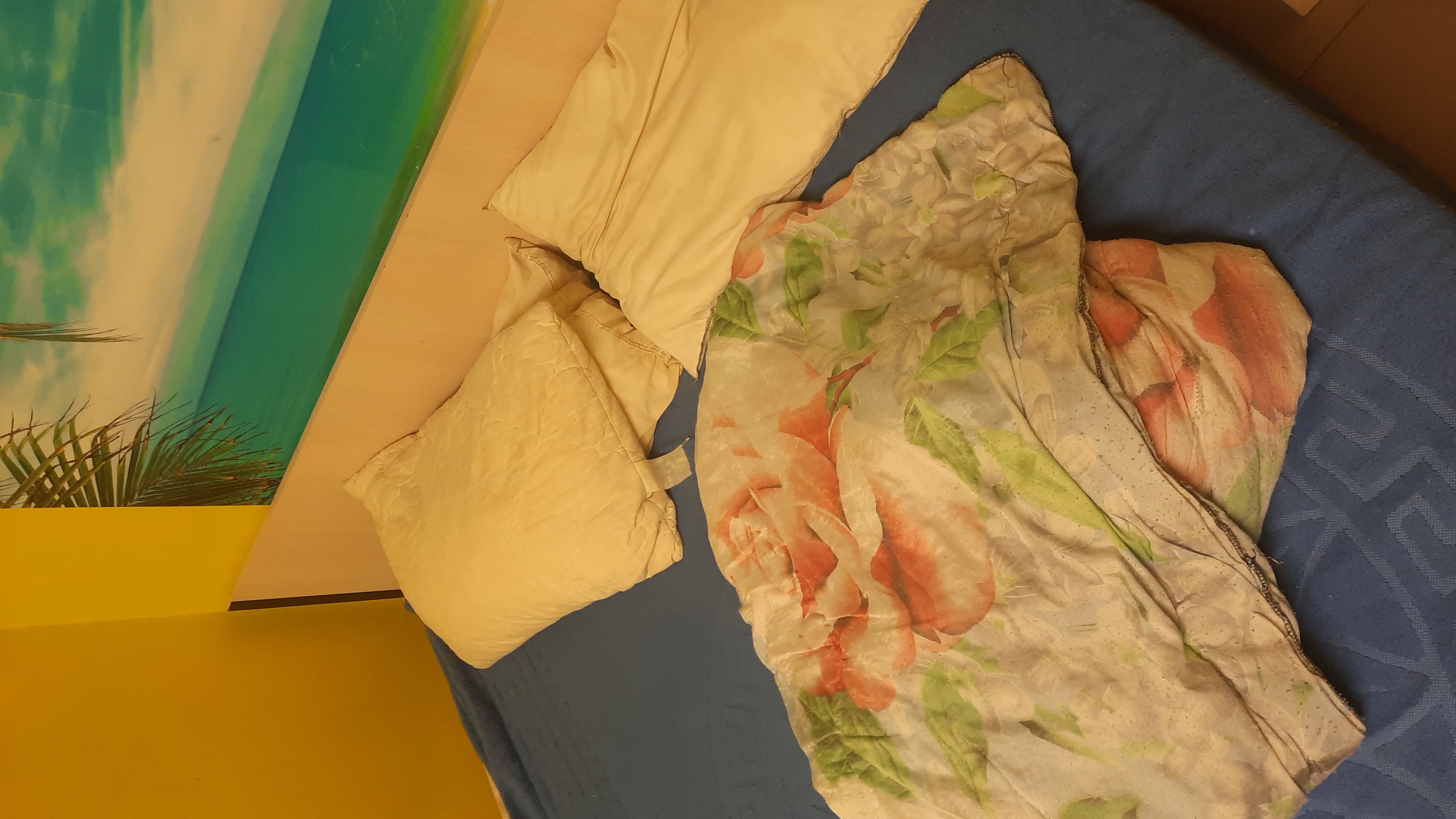 Фото Ника-Сити