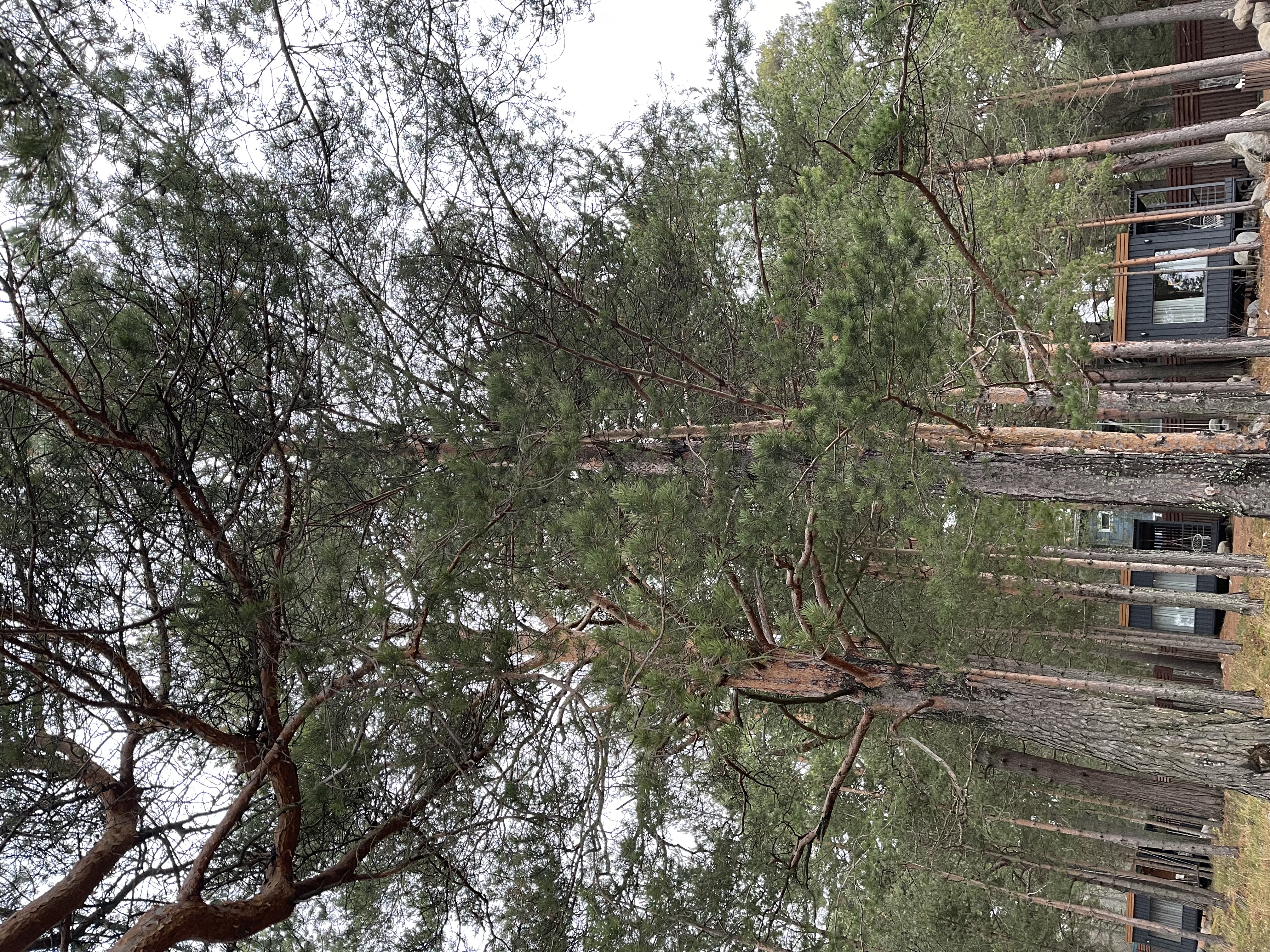 Фото Талео Хоум