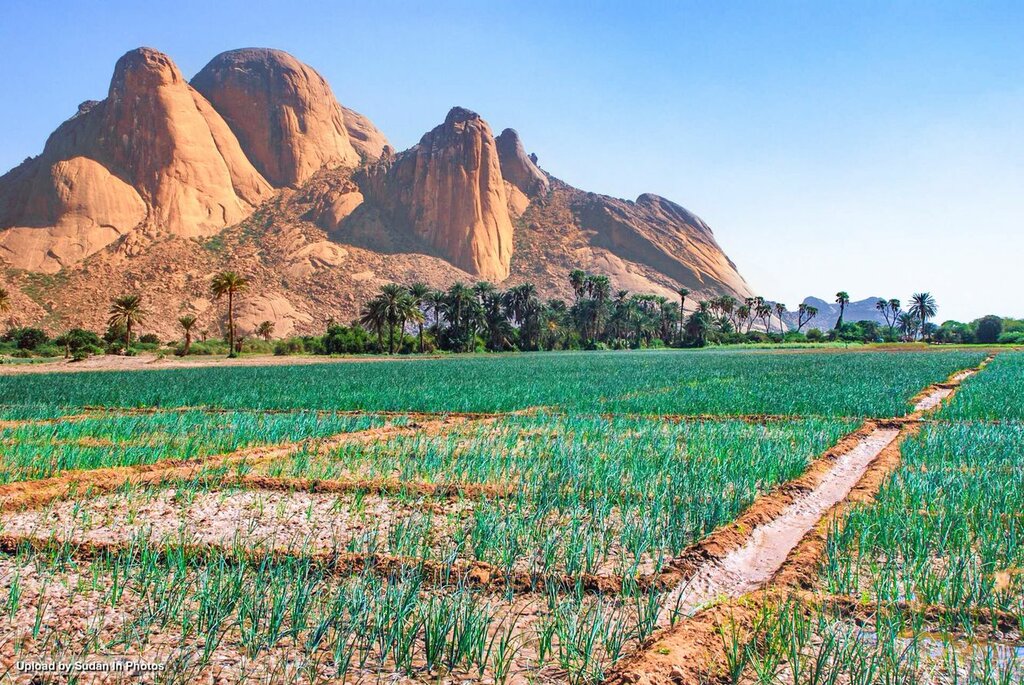 Fodder and feed additives Garda General Trading, Dubai, photo