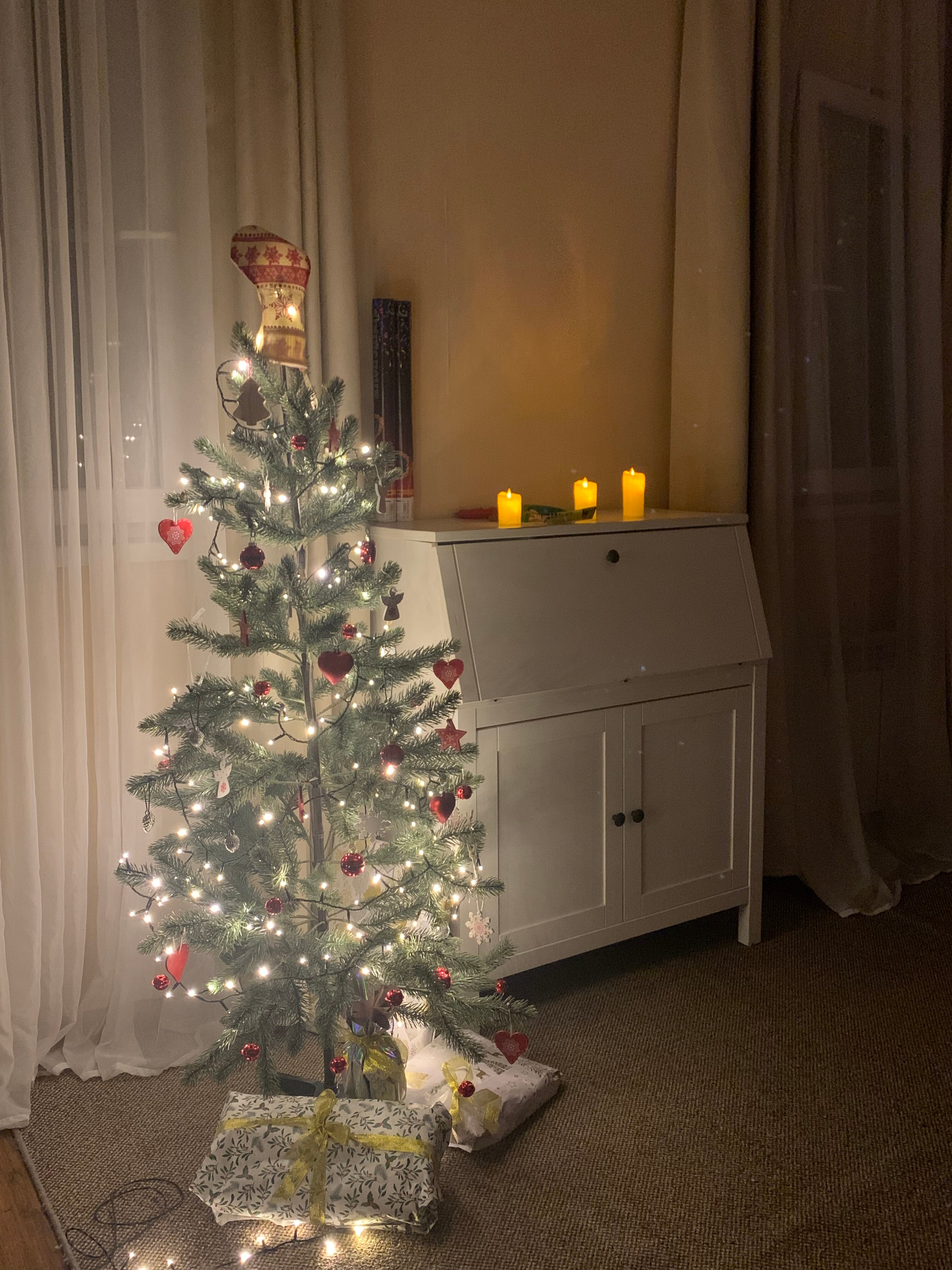 Фото Лесное царство