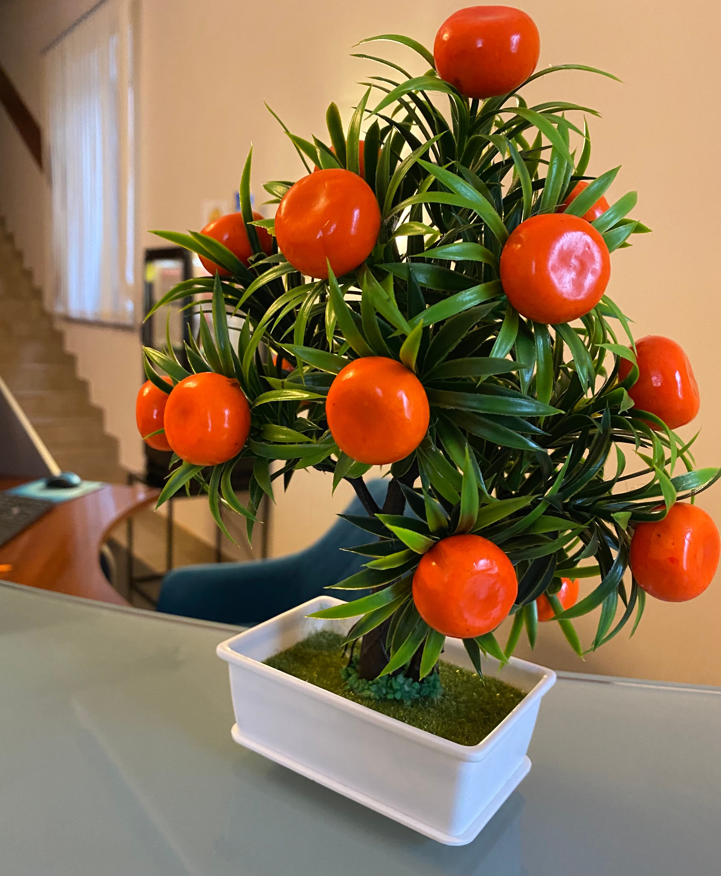 Фото Мандарин