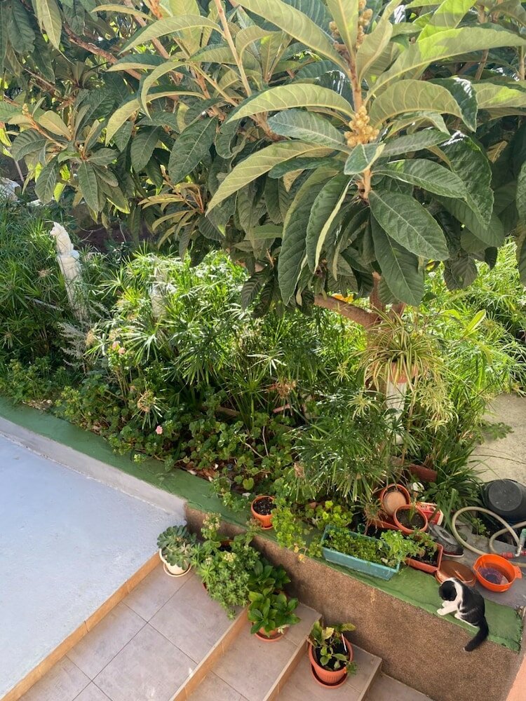 Фото Biljana - 150m From Beach - A3