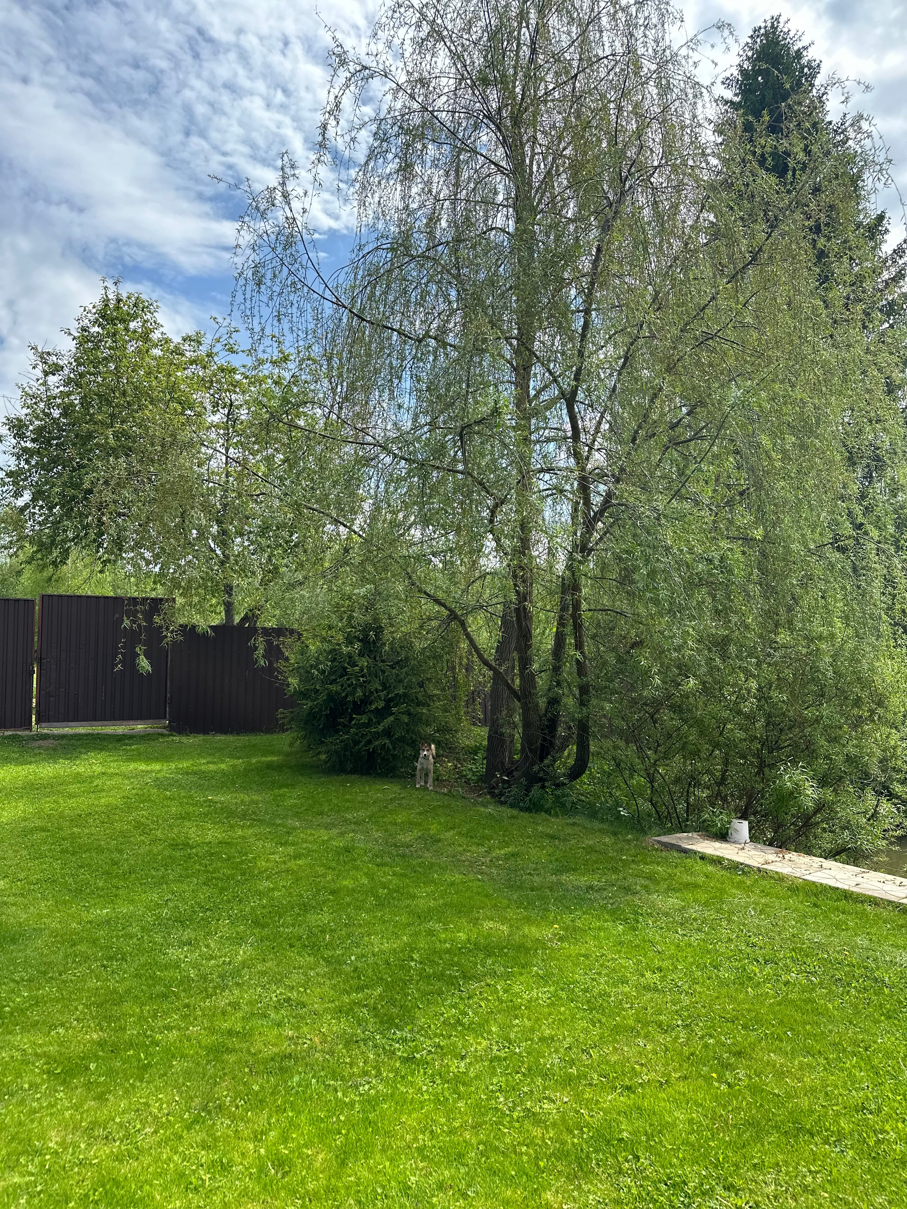 Фото Дом для загородного отдыха