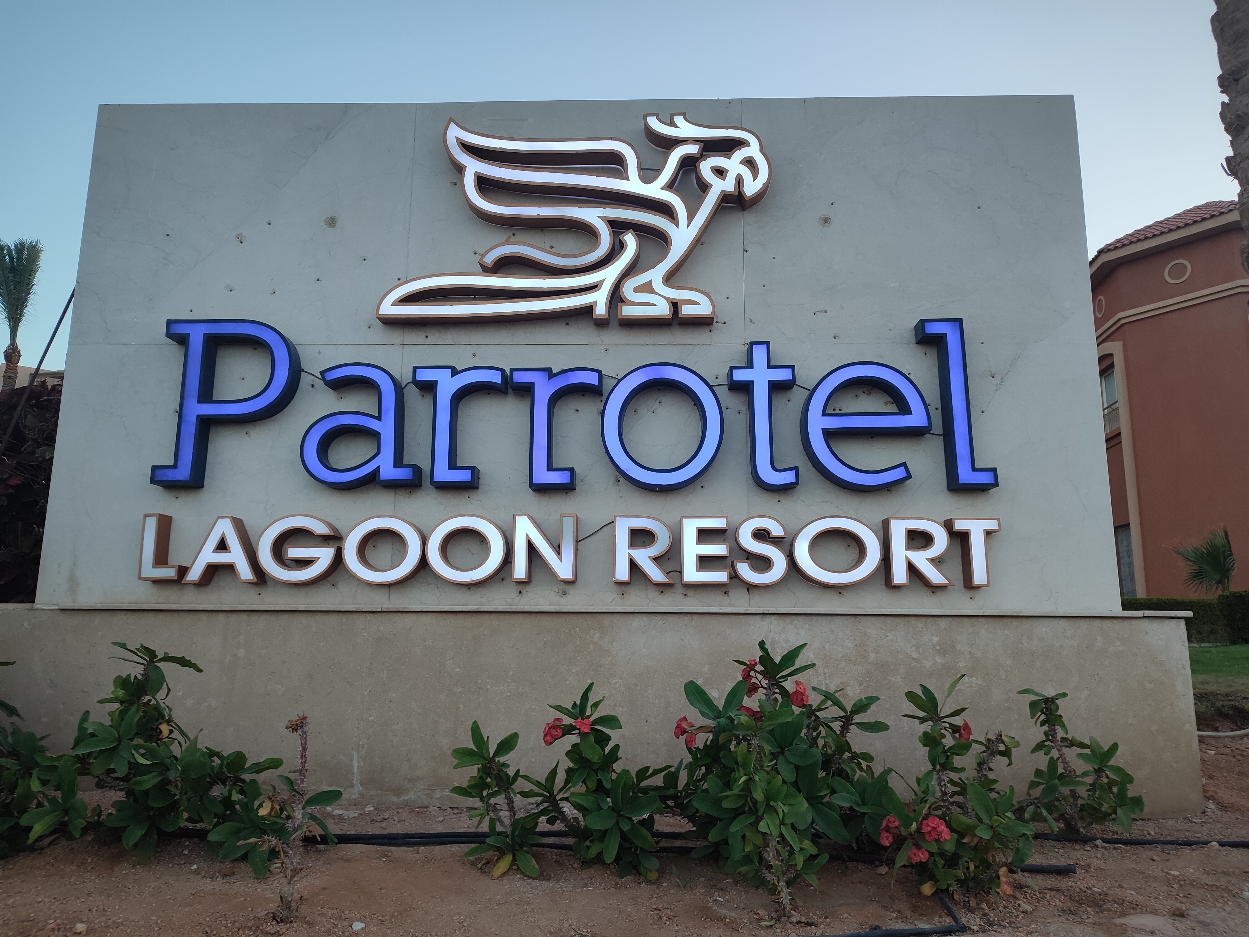 Фото Parrotel Lagoon Waterpark Resort