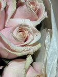 Rose 58 (ул. Калинина, 89), доставка цветов и букетов в Пензе