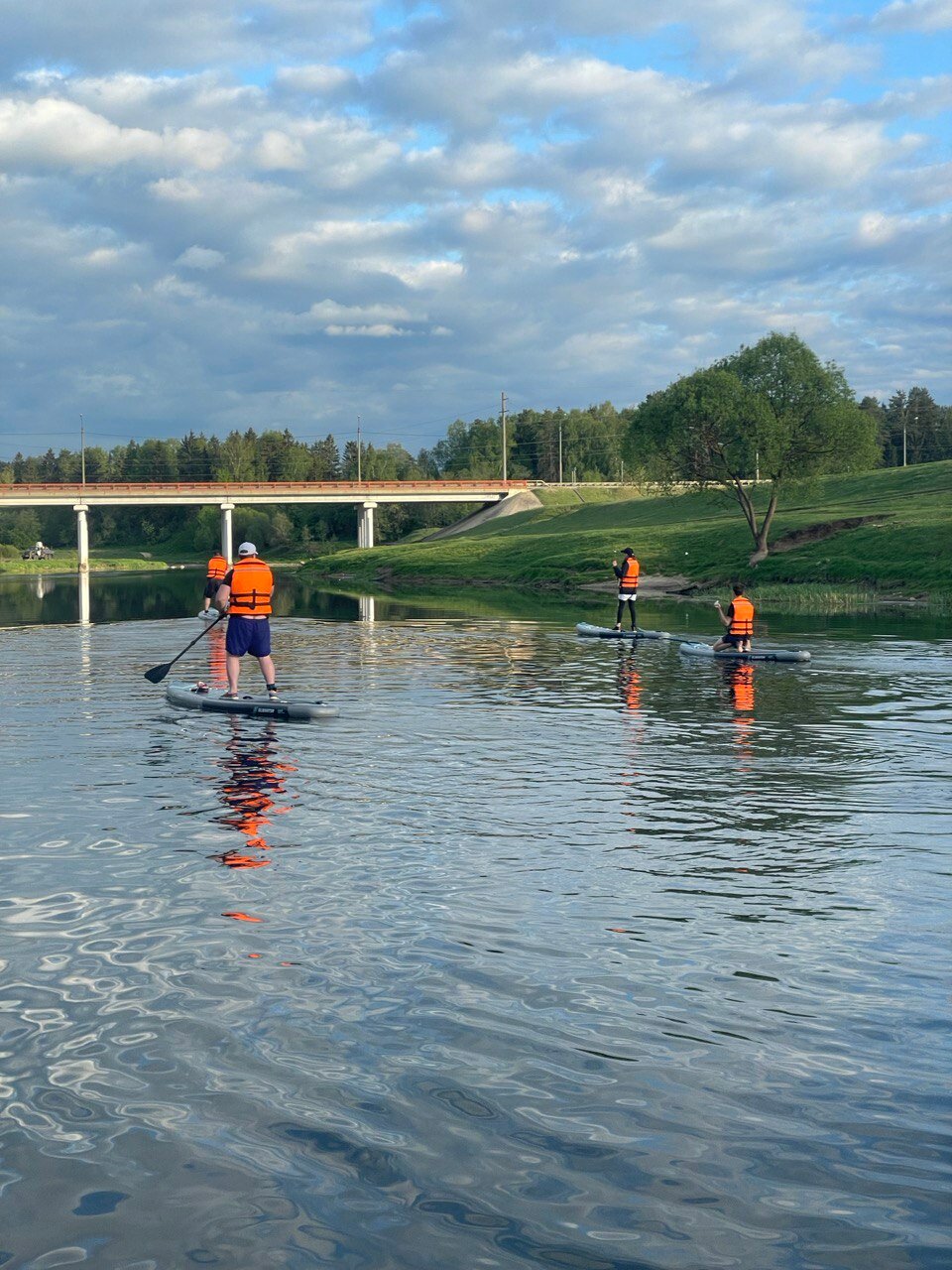 Фото Веселые гуси