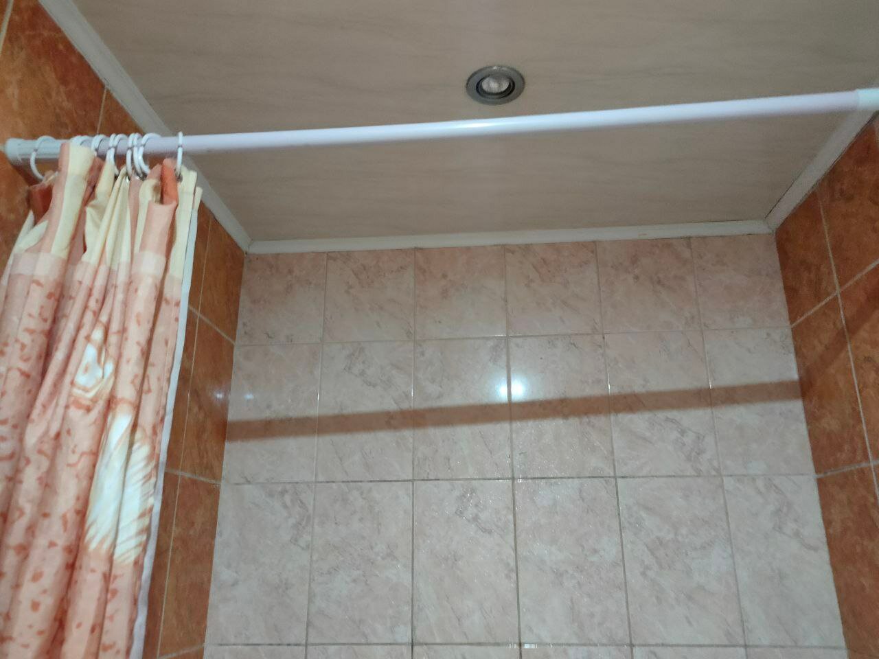 Фото Берёзка