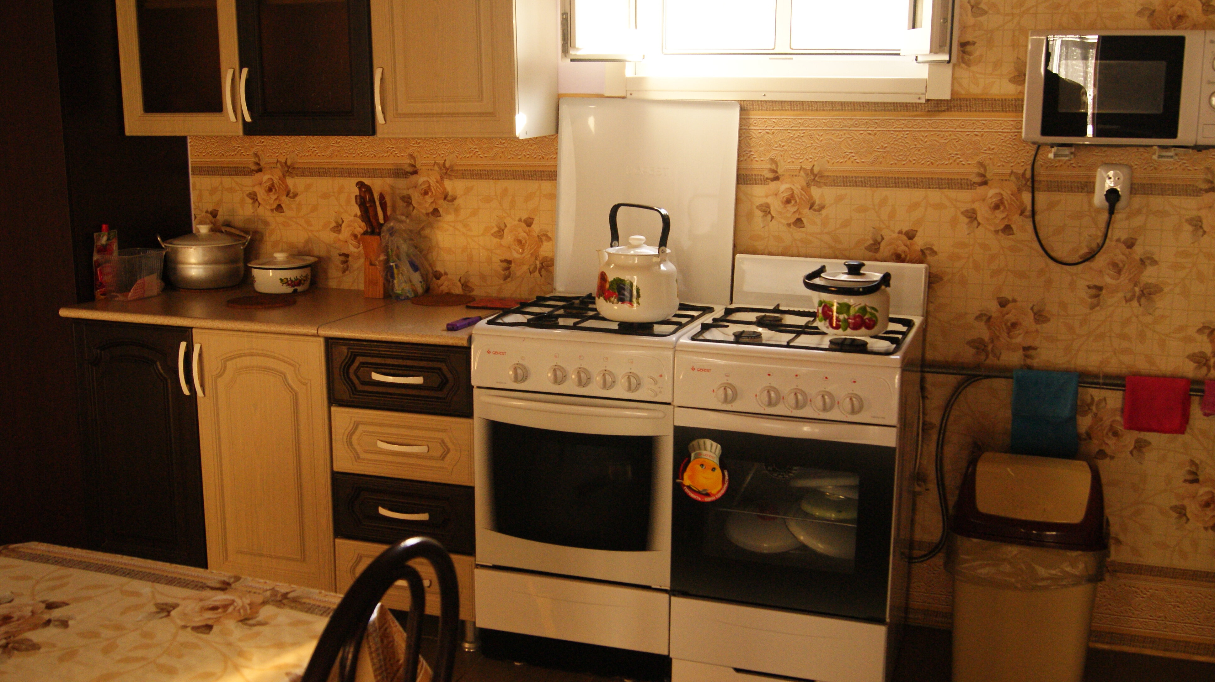 Фото Зеленая 25