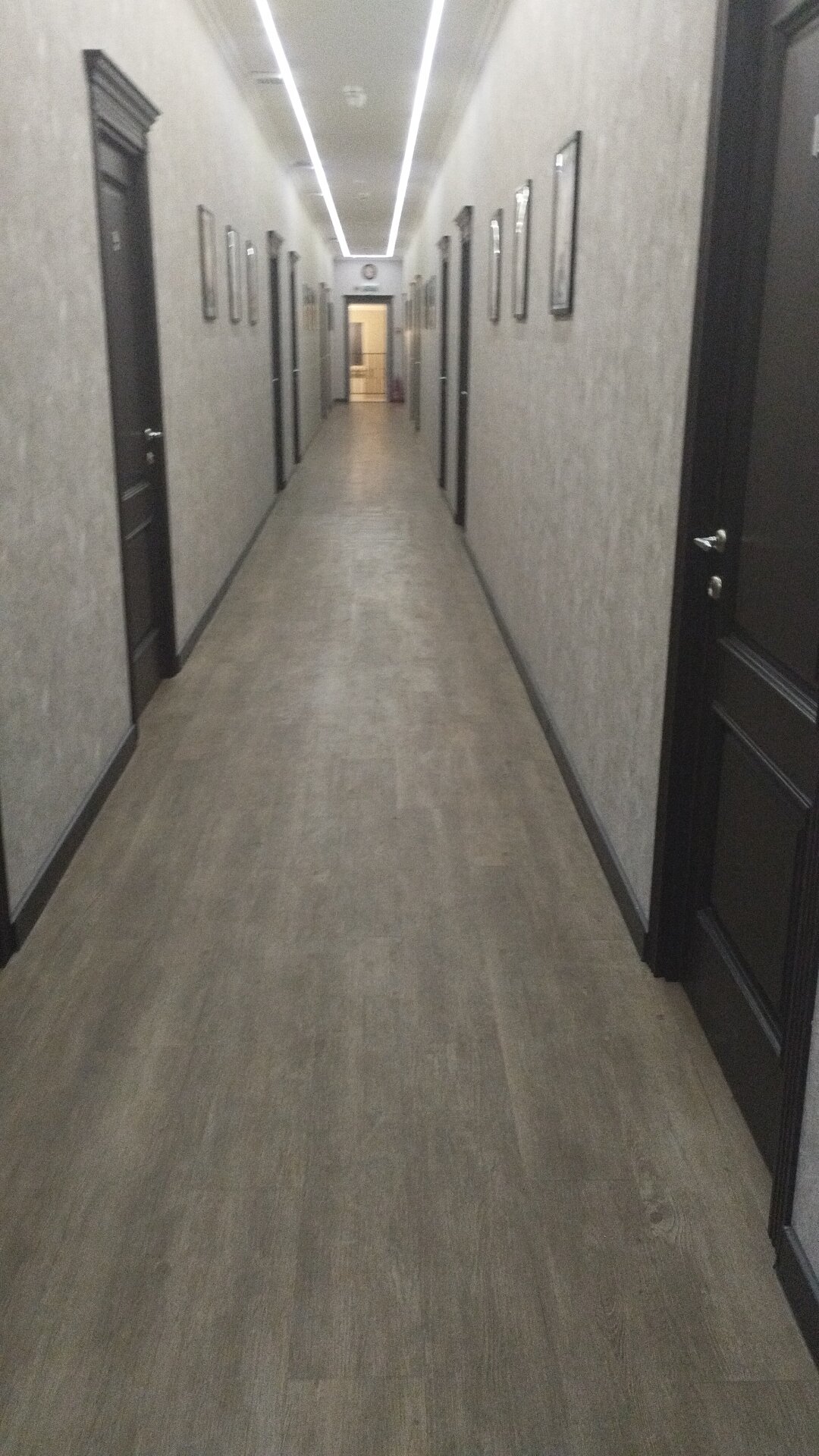 Фото Венера