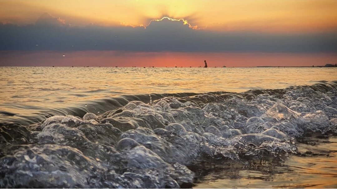 Фото Магнолия