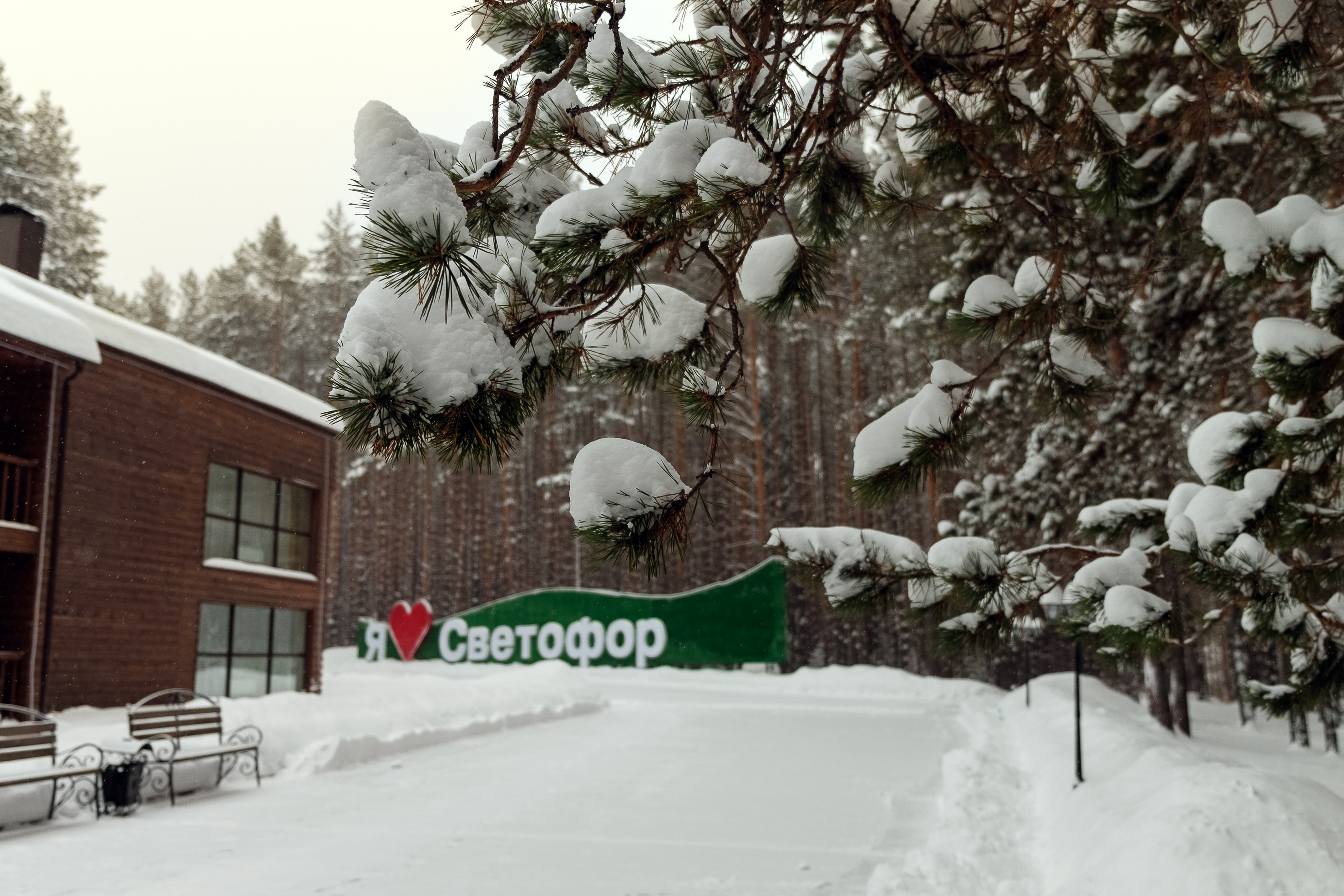 Фото Светофор