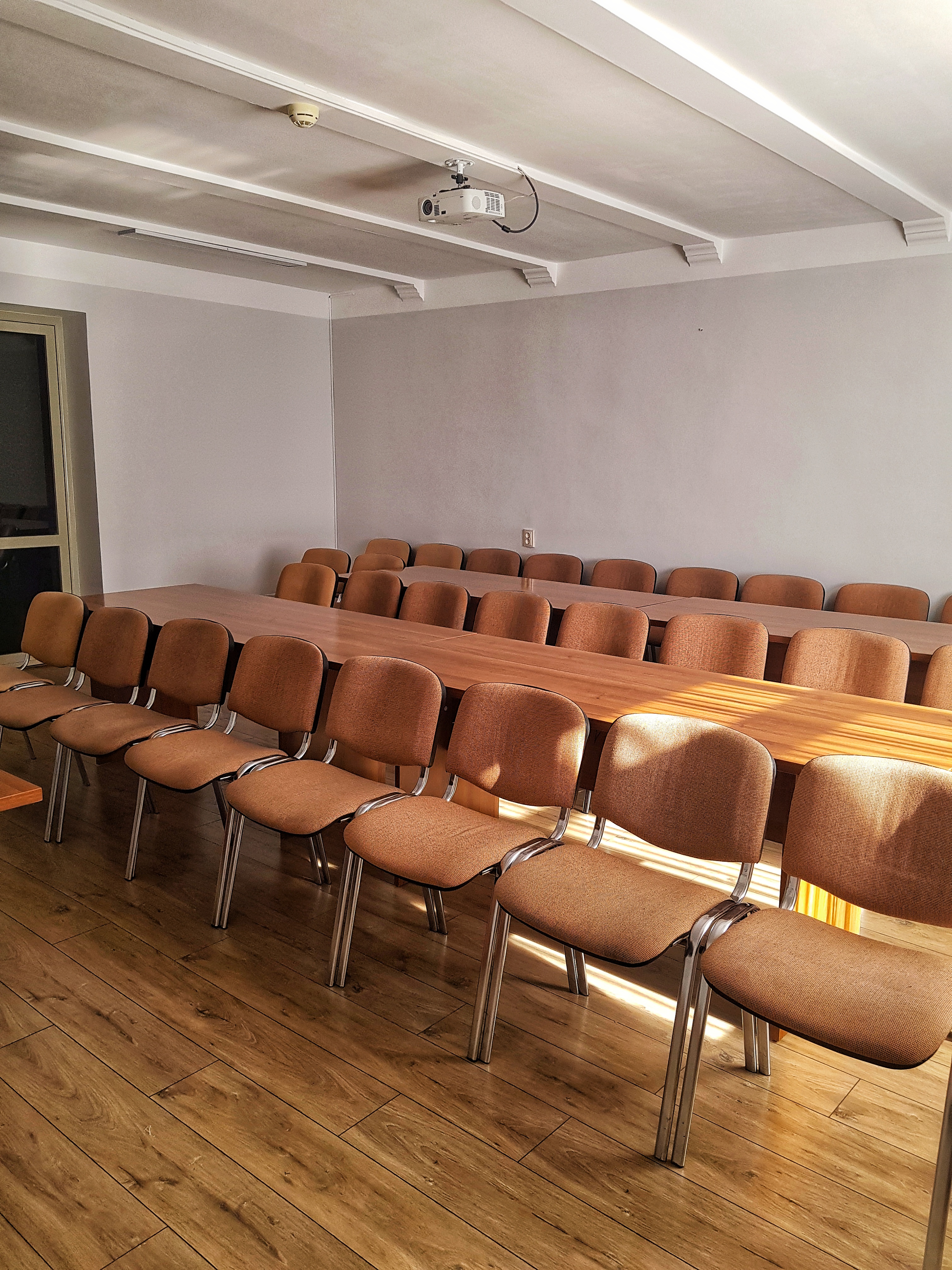 Фото Платан