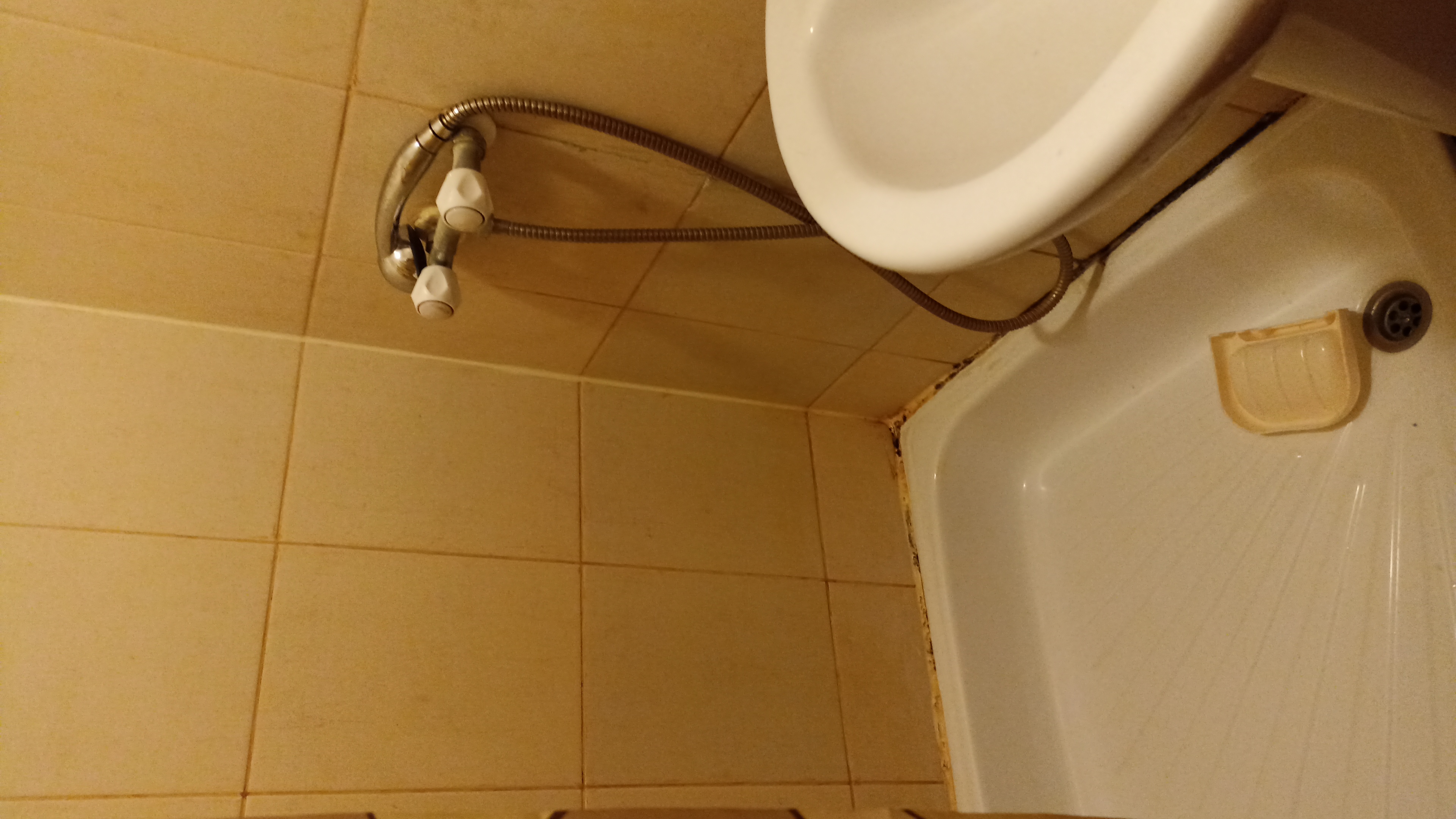 Фото Пшеничникофф