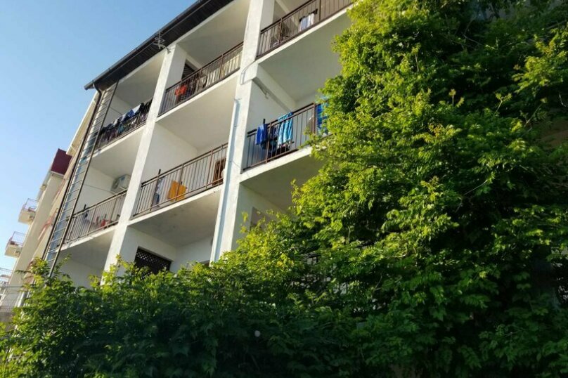 Фото Фламинго