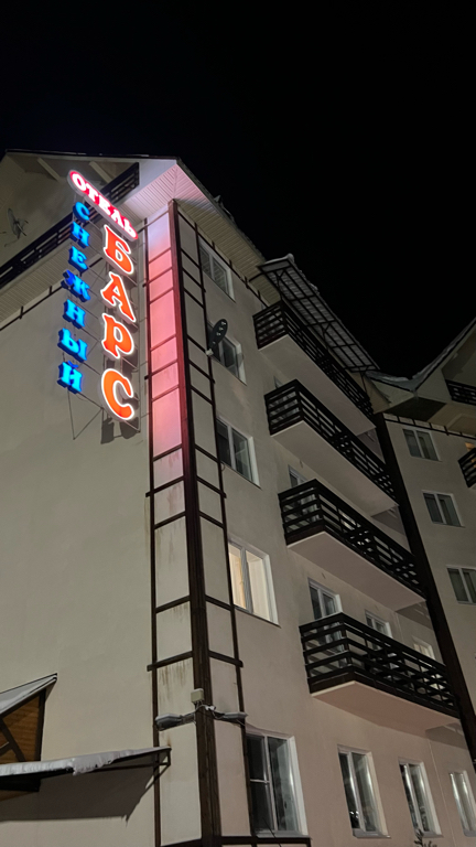 Фото Снежный Барс